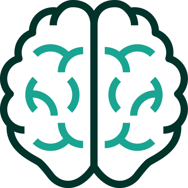 brain icon